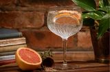 Gartenparty: Kelch mit Gin Tonic