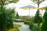 Gartenparty: Sonnenschirm