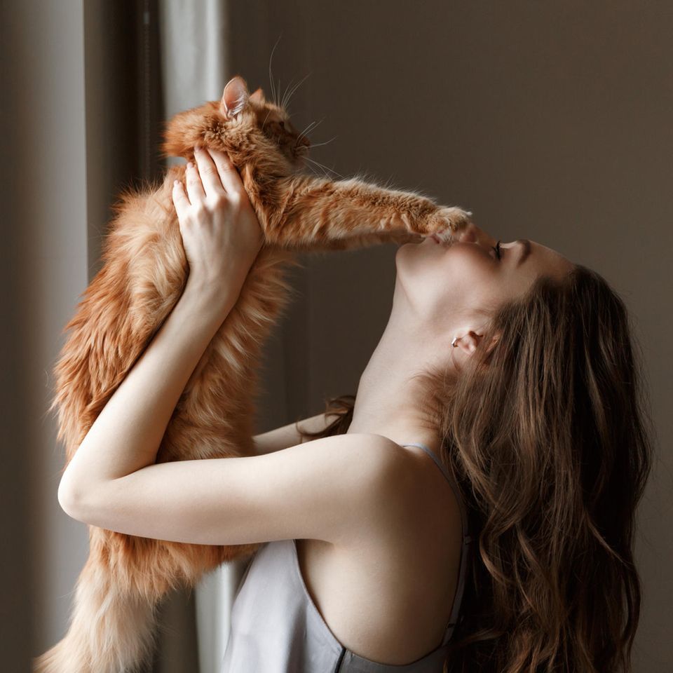 Crazy Cat Lady: Frau mit Katze auf dem Arm