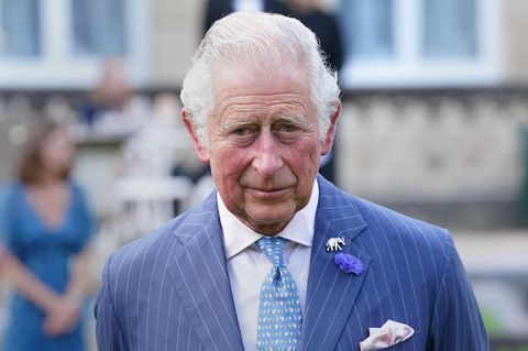 Prinz Charles: Wird er seinem Bruder Prinz Edward einen Adelstitel verwehren?: Prinz Charles