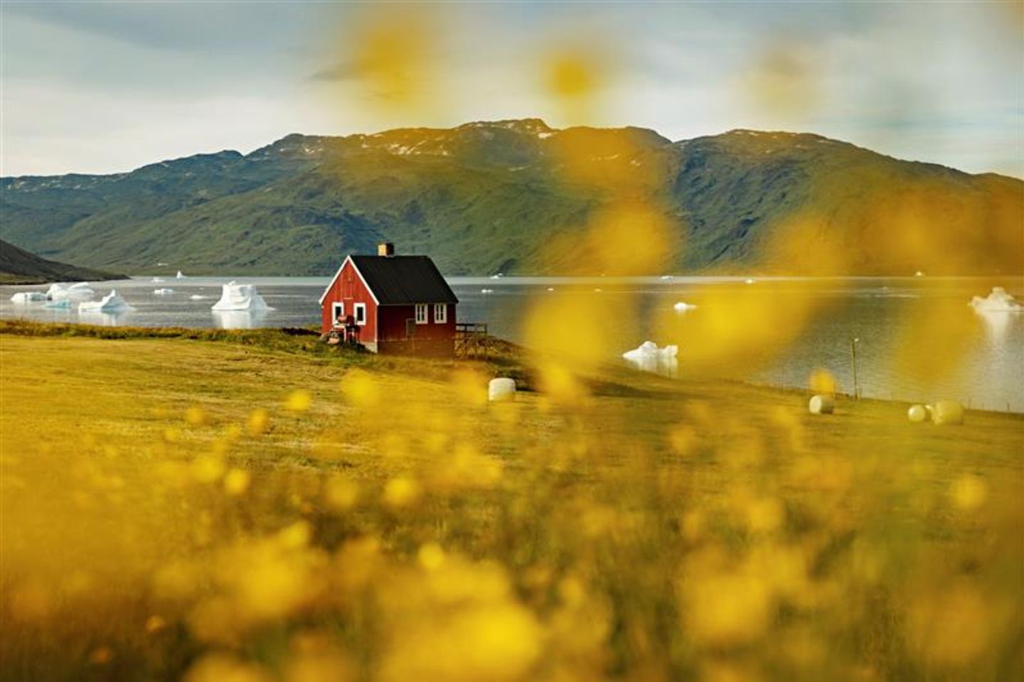 Grönland: Rotes Haus am Wasser