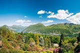 Nicht nur für Flora-Fans einen Ausflug wert: Azaleen, Rhododendren und Nadelbäume findet man auf luftiger Höhe im botanische Park San Grato bei Lugano.