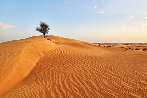 Dubai: Wüste in Dubai