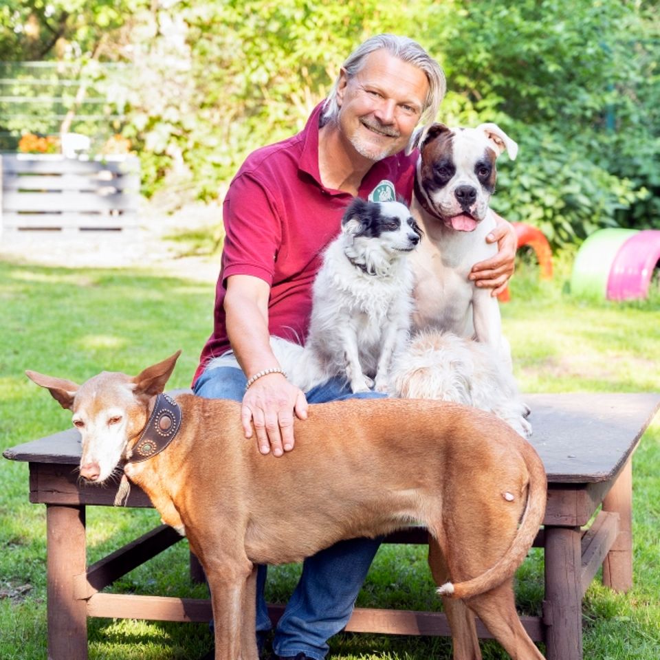 Frank Weber: Der Moderator mit seinen Hunden