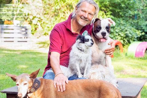 Frank Weber: Der Moderator mit seinen Hunden
