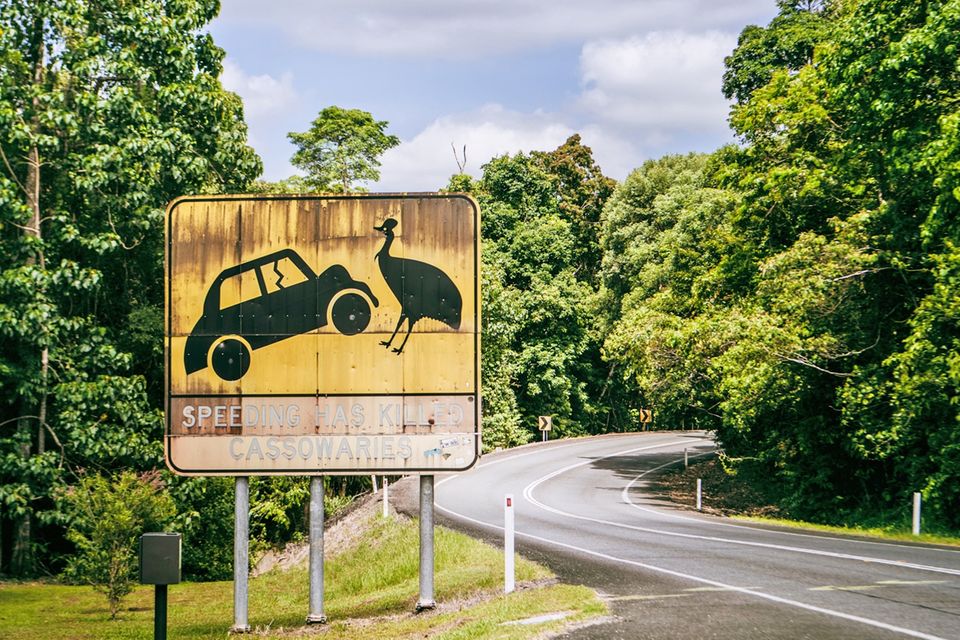 Australien: Planungstipps von unserer Expterin Australien: Straßenschild