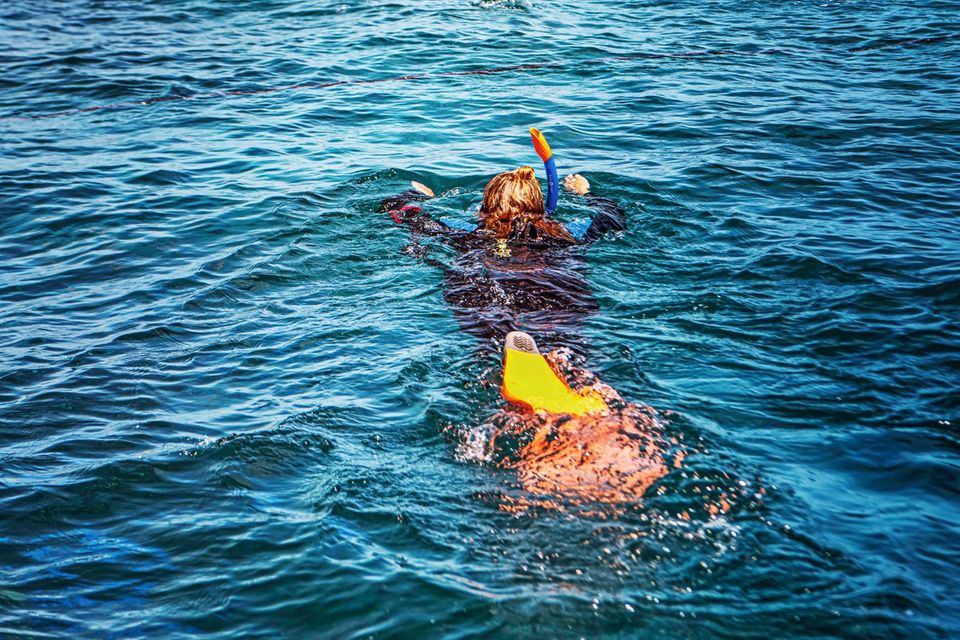 Australien: Planungstipps von unserer Expterin Australien: Schnorchlerin im Meer