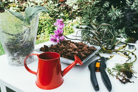 Herbstdeko: Tisch mit Ästen und Bastelutensilien