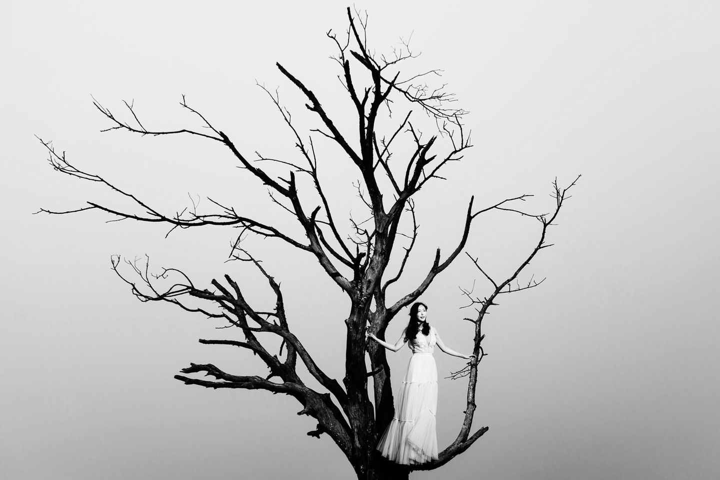 International Wedding Photographer of the Year 2021: Verlobte auf Baum