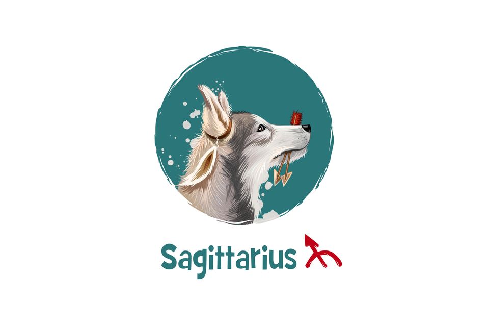 Hunde-Horoskop: Sagittarius
