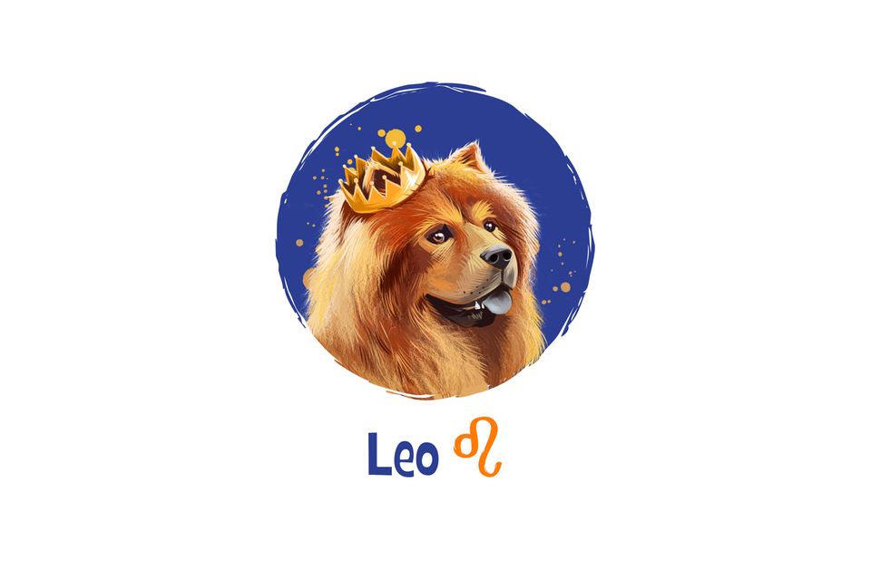 Hunde-Horoskop: Löwe