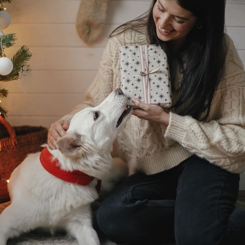 Geschenke für Hunde: Die besten Ideen, Frau gibt ihrem Hund ein Geschenk