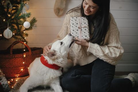 Geschenke für Hunde: Die besten Ideen, Frau gibt ihrem Hund ein Geschenk