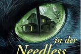 Buchtipps der Redaktion: Buchcover "Das letzte Haus in der Needless Street"