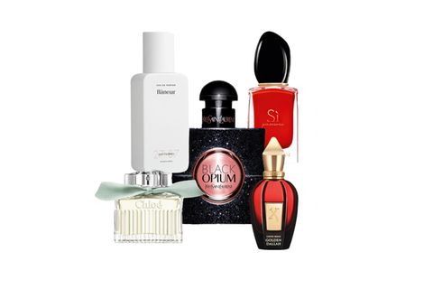 Produktfoto von unterschiedlichen Parfums.