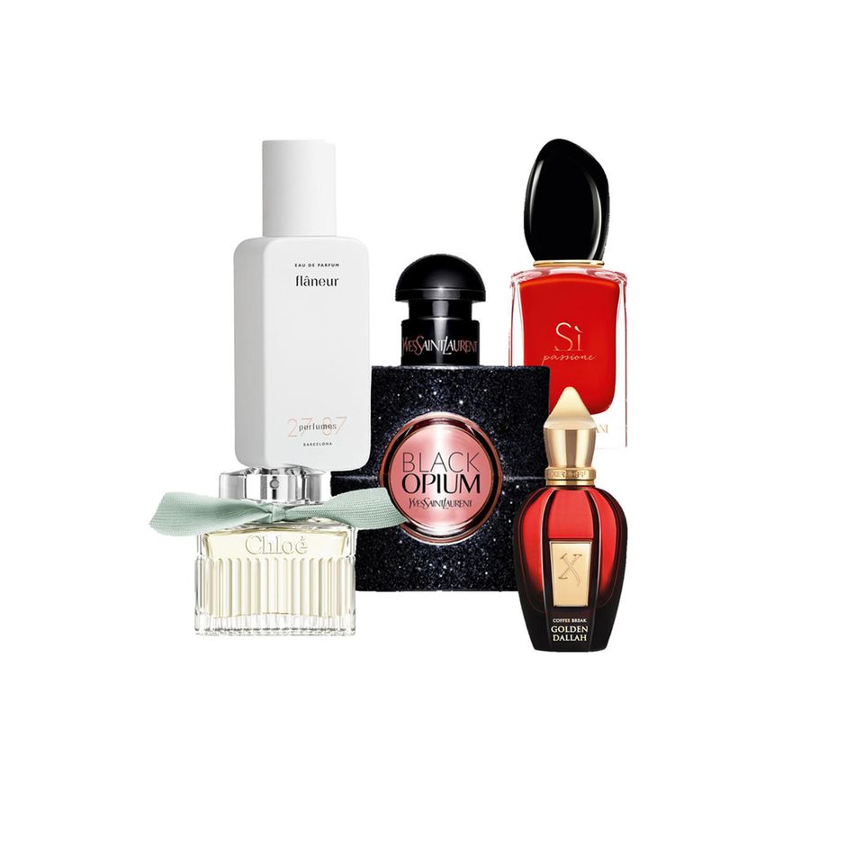 Produktfoto von unterschiedlichen Parfums.