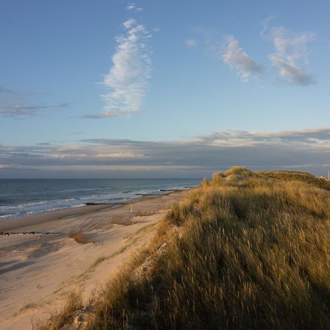 Jütland: Dünen und Strand mit einem Stück sichtbaren Meer. Der Himmel ist blau mit einem Wolkenband