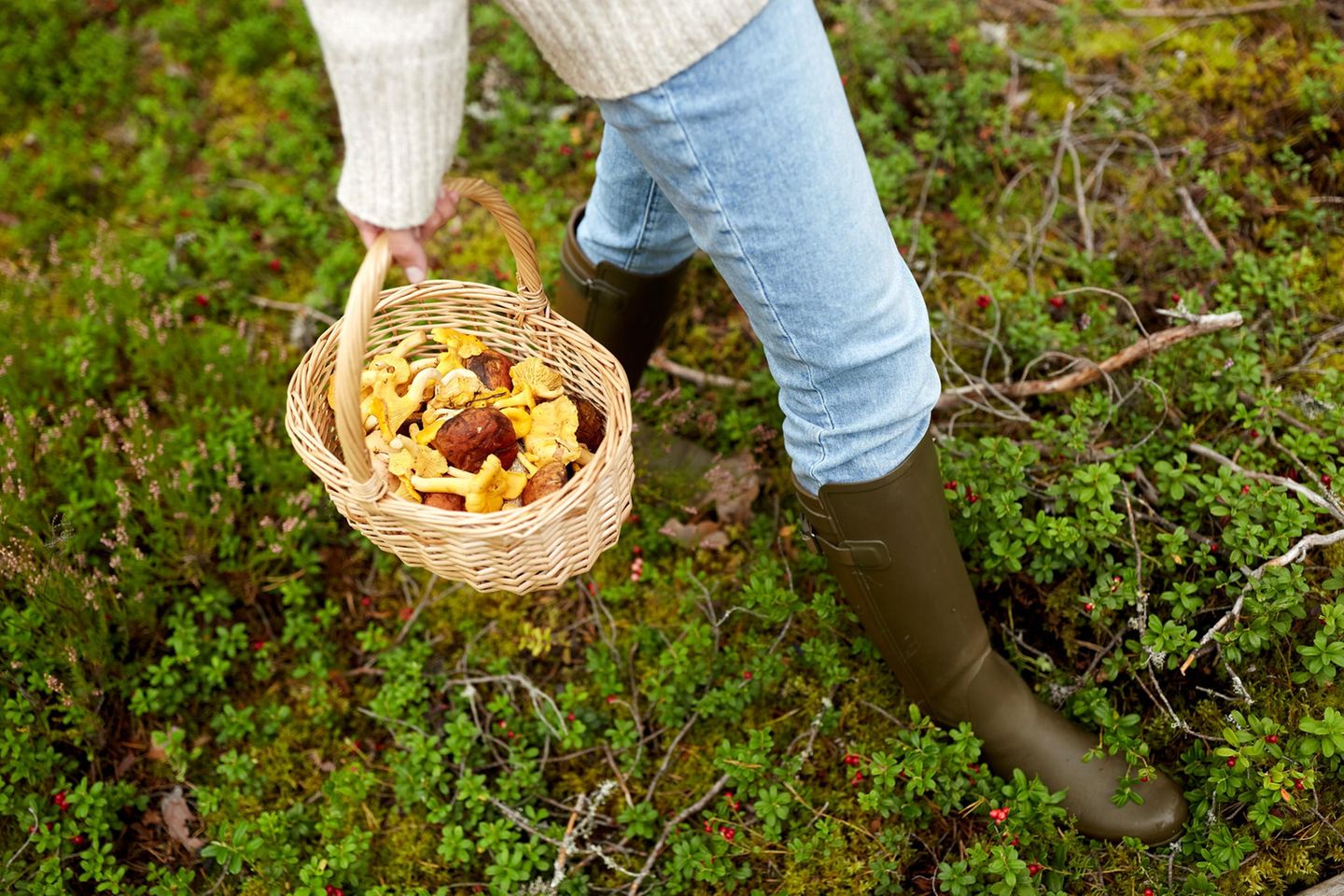 Pilzsammler im Wald: ein Halbporträt einer Frau im Wald, die einen Korb mit Pilzen trägt