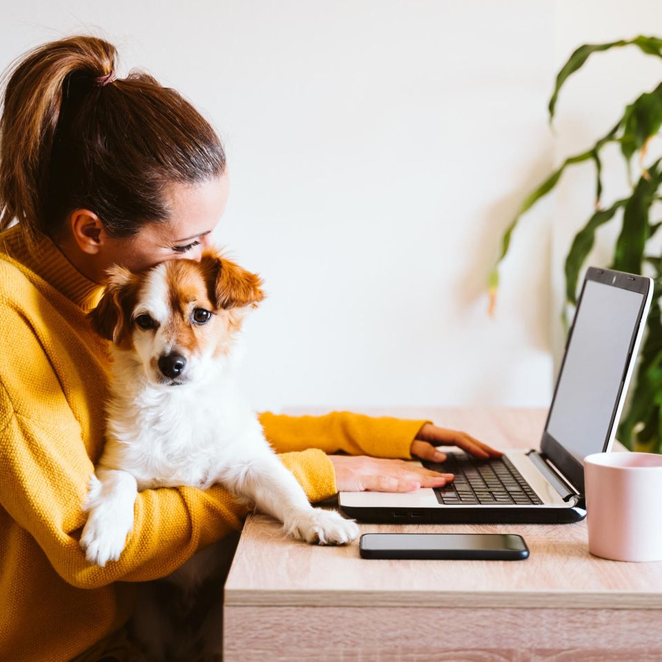 Frau mit Hund am Homeoffice-Schreibtisch: Warum Introvertierte im Homeoffice aufblühen