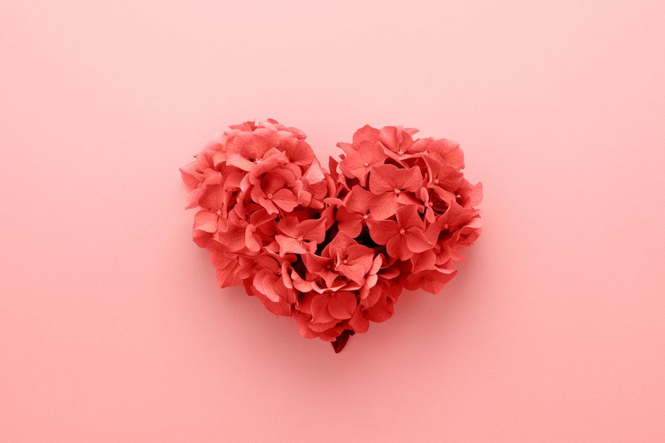 Farbe der Liebe: Rotes Herz aus Blüten vor rosa Hintergrund