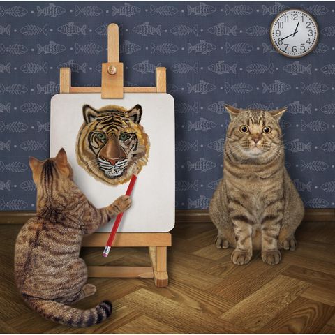Beziehung: Katze malt Kater als Tiger