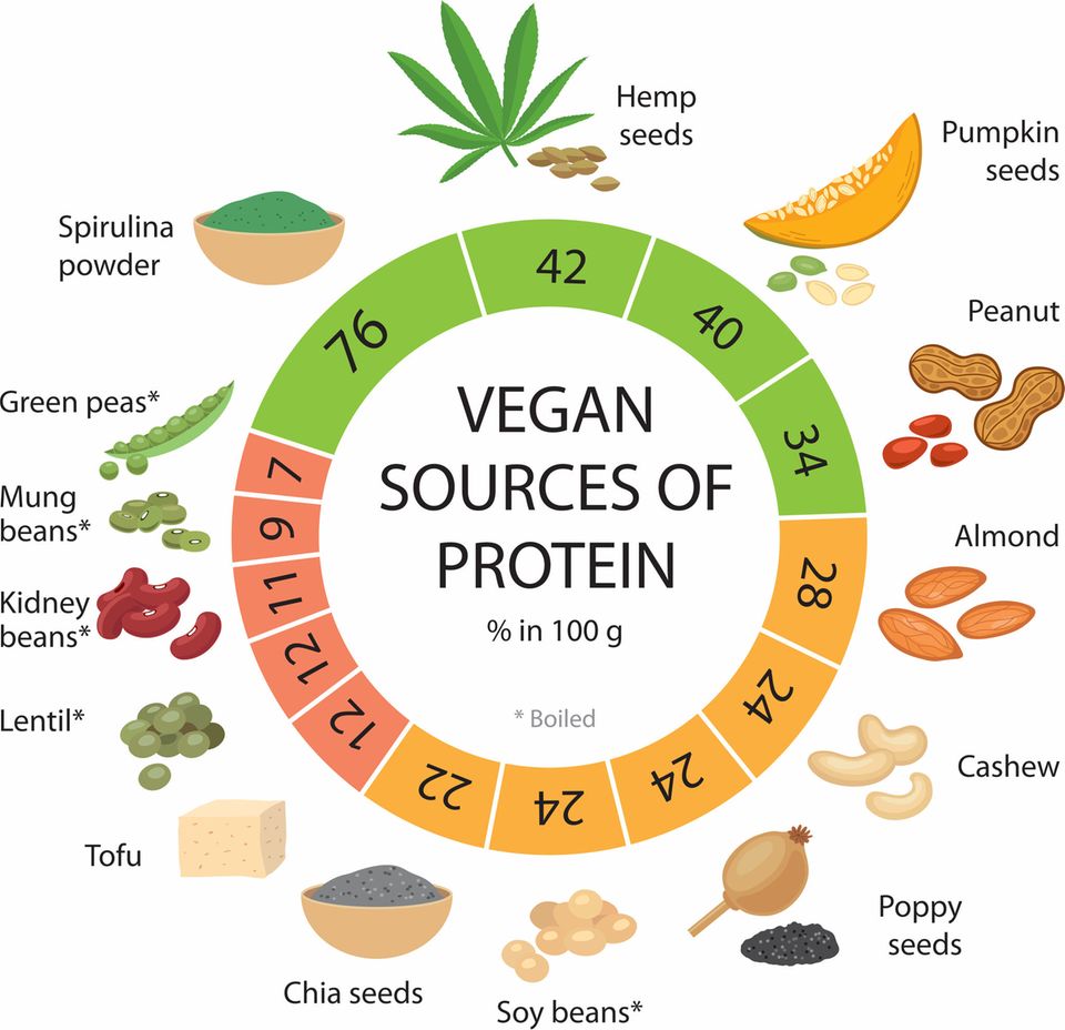 Hier seht ihr verschiedene pflanzliche Lebensmittel und ihren veganen Proteingehalt auf 100 Gramm. Spirulina-Pulver, Hanfsamen und Kürbiskerne sind die Spitzenreiter mit über 40 Gramm Eiweiß.