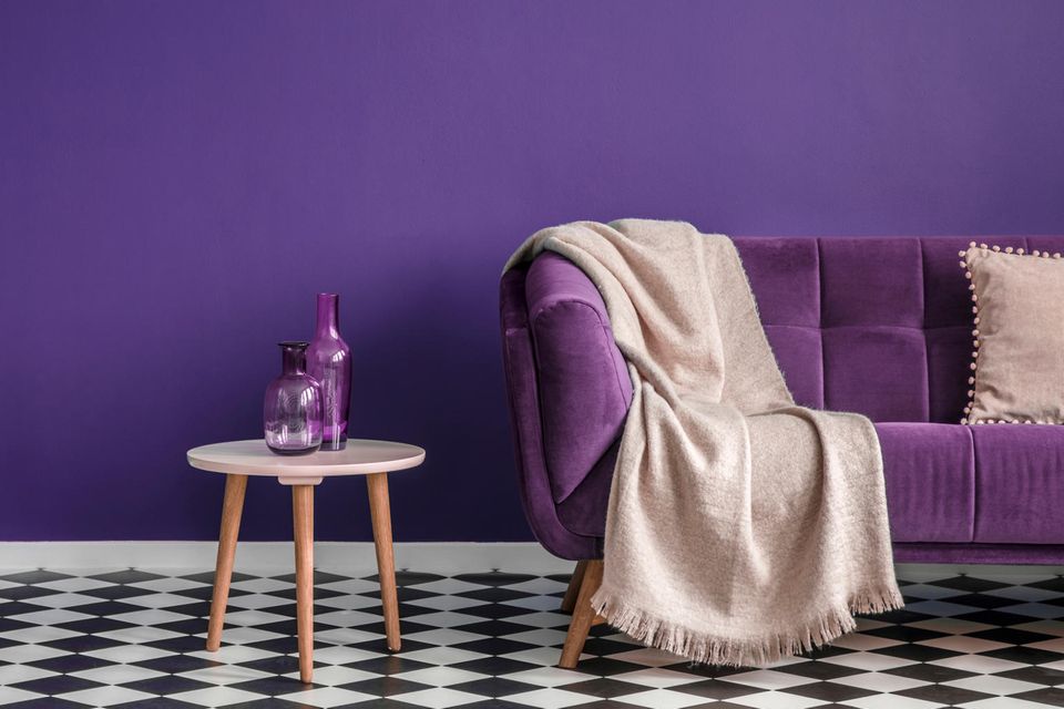 In einem Wohnraum steht violettes Interior.