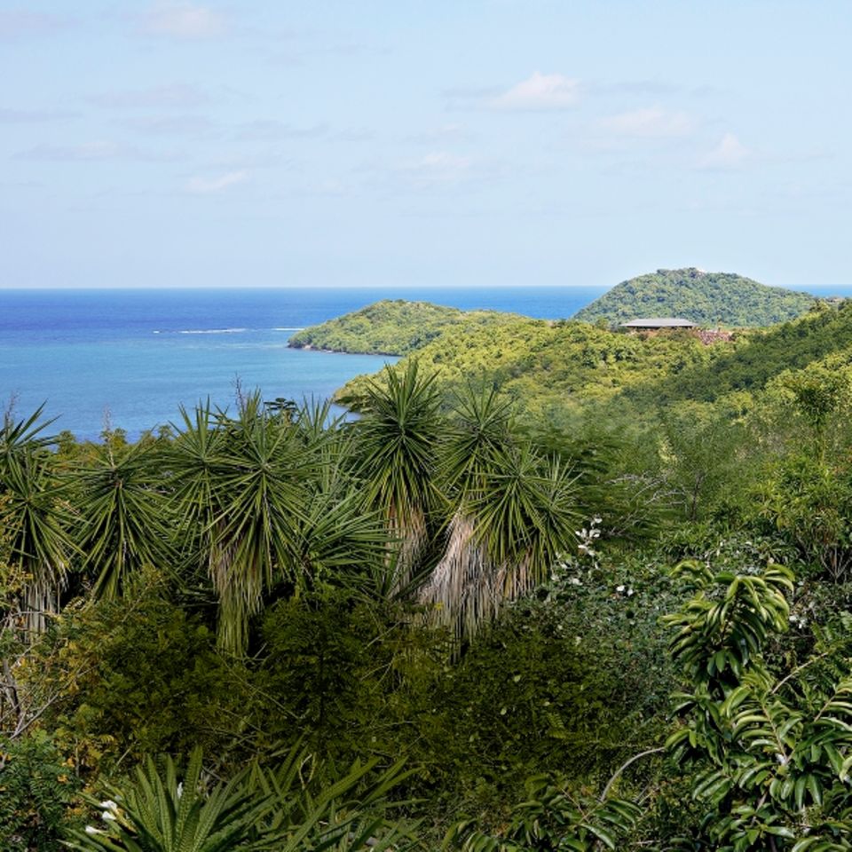 Martinique: Aussicht aufs Meer auf Martinique