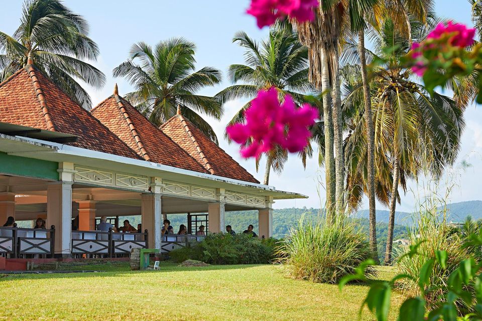 Martinique: Das Hotel mit tropischem Garten und weitem Blick