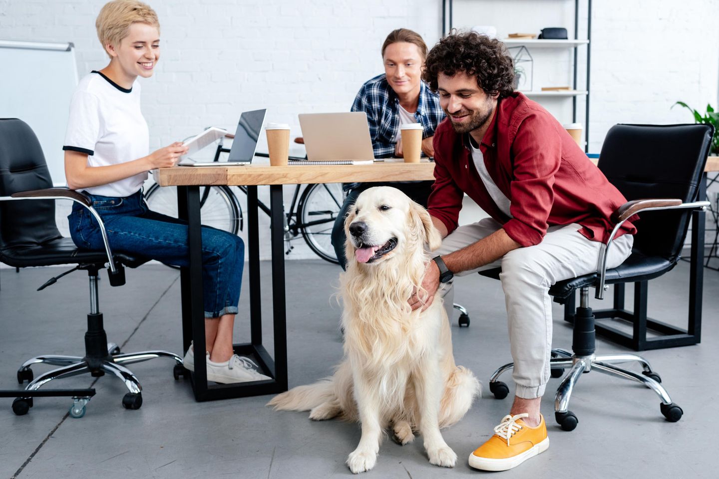 Zwei Männer und eine Frau sitzen zusammen mit einem Hund in einem Büro.