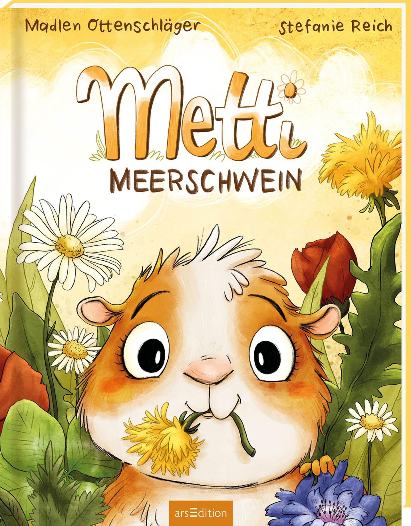 Buchtipps der Redaktion: Buchcover "Metti Meerschwein"