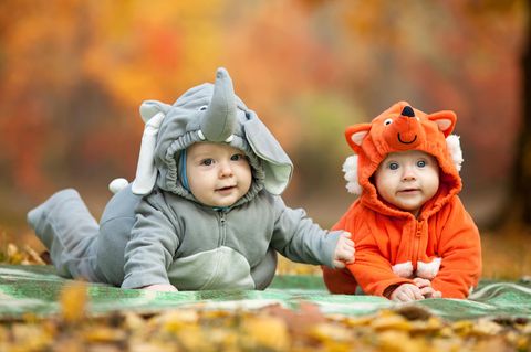 Zwei Kleinkinder sind als Elefant und Fuchs verkleidet und spielen im Herbst.