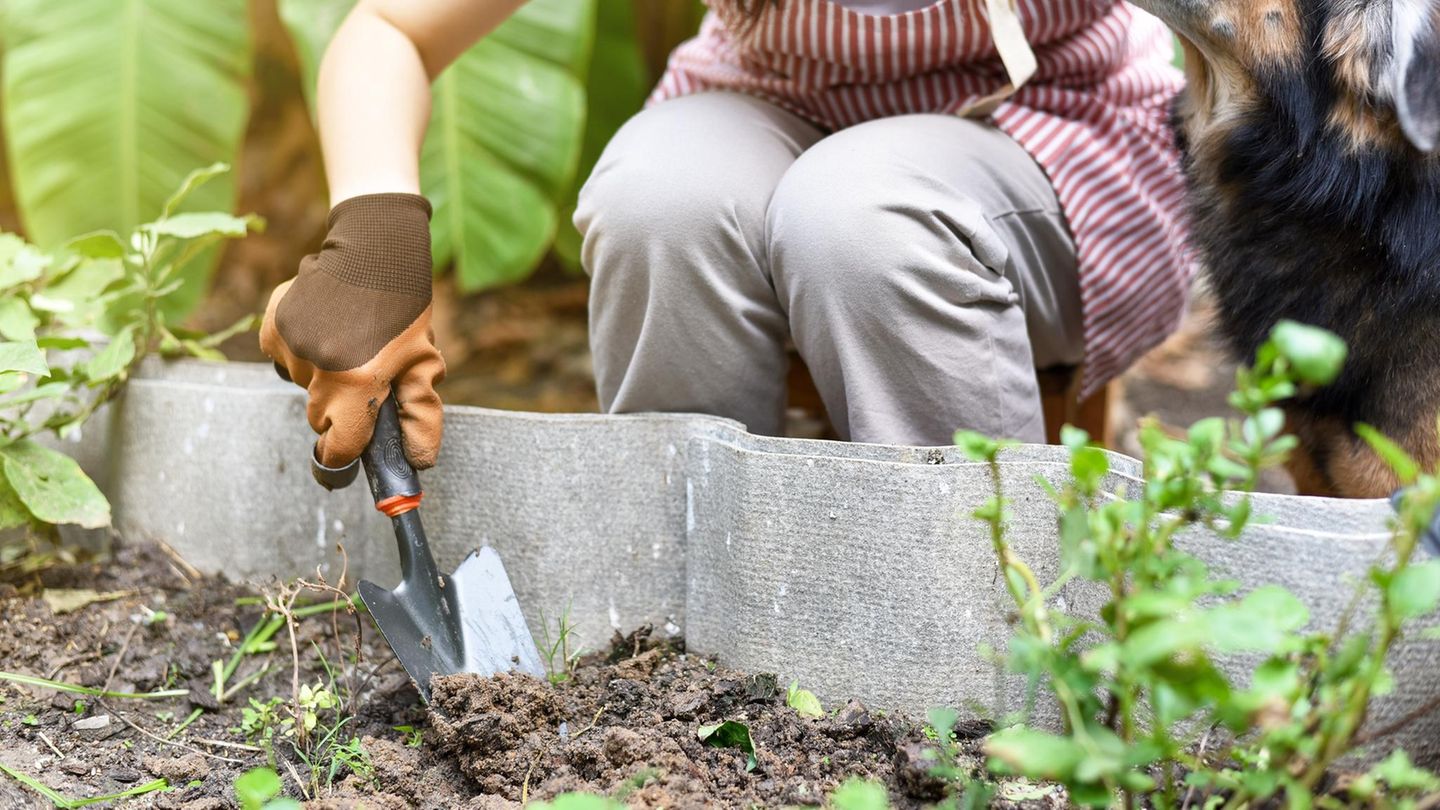 Gartenarbeit: 5 Dinge, die du im März unbedingt erledigen solltest