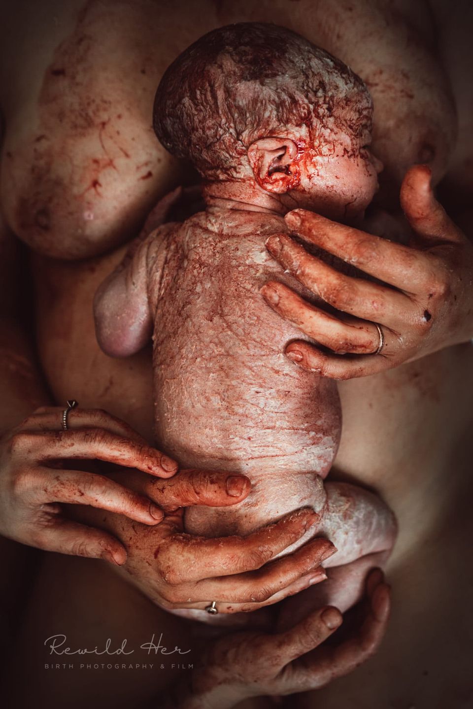 Geburtsfotografie 2022: Rewild Her Birth Photography & Film "Blood Of My Blood"