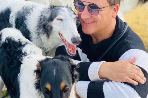 Guido Maria Kretschmer mit seinen Hunden