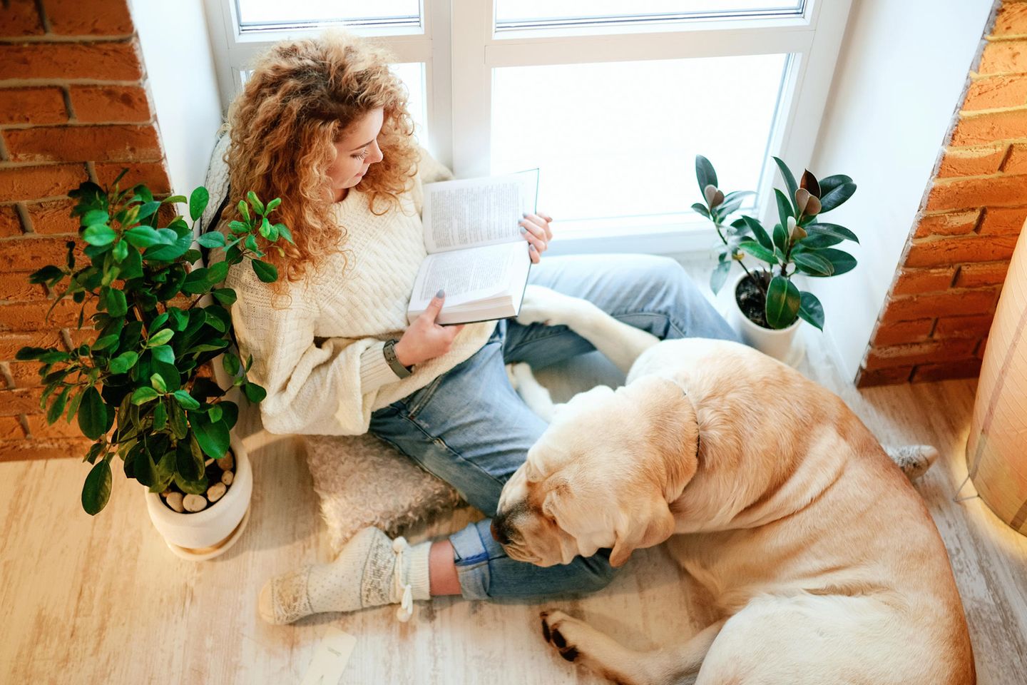 blonde junge frau sitzt mit einen Buch am Fenster, davor ein Hund