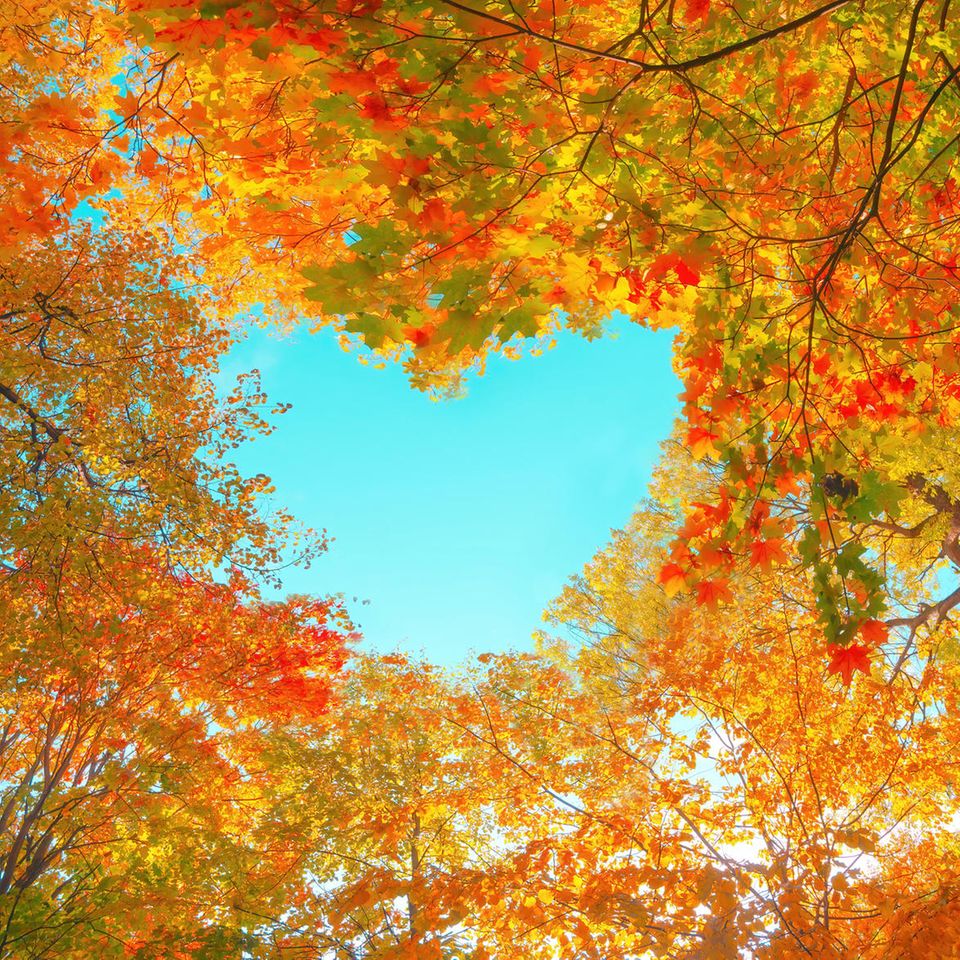 Oktober: Bäume im Oktober