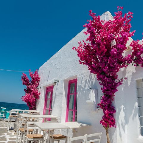 Reisen im Frühling: ein weißes griechisches Haus mit pinken Blumen und Fenstern