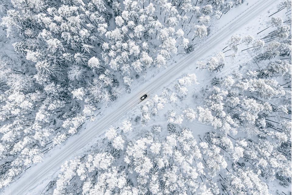 Wintereinbruch: Schnee im Wald