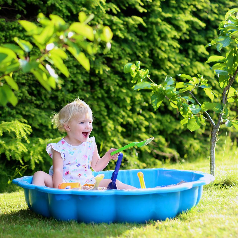 Sandmuschel: 5 schöne Modelle für den Garten oder Balkon