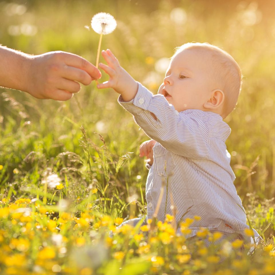 10 Vornamen, die "Licht" bedeuten: Ein Baby sitzt auf einer Wiese im Sonnenschein