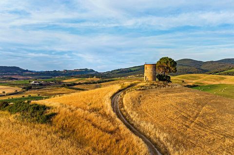 Etruskerküste: Feldweg auf einem Hügel
