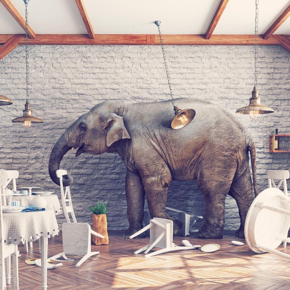 Aufräumen: Elefant im Raum