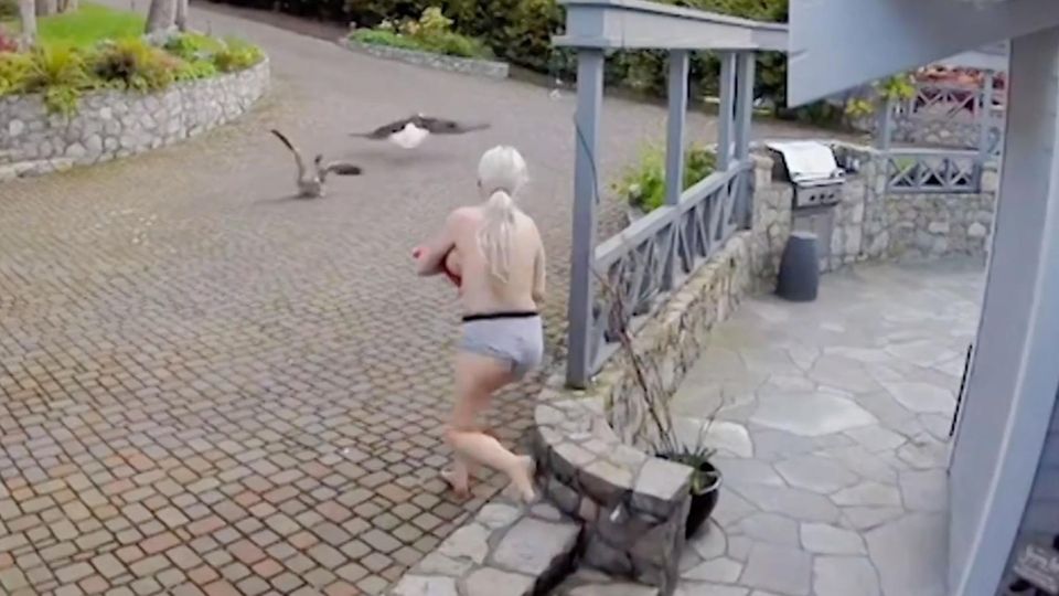 Mutter vertreibt Adler