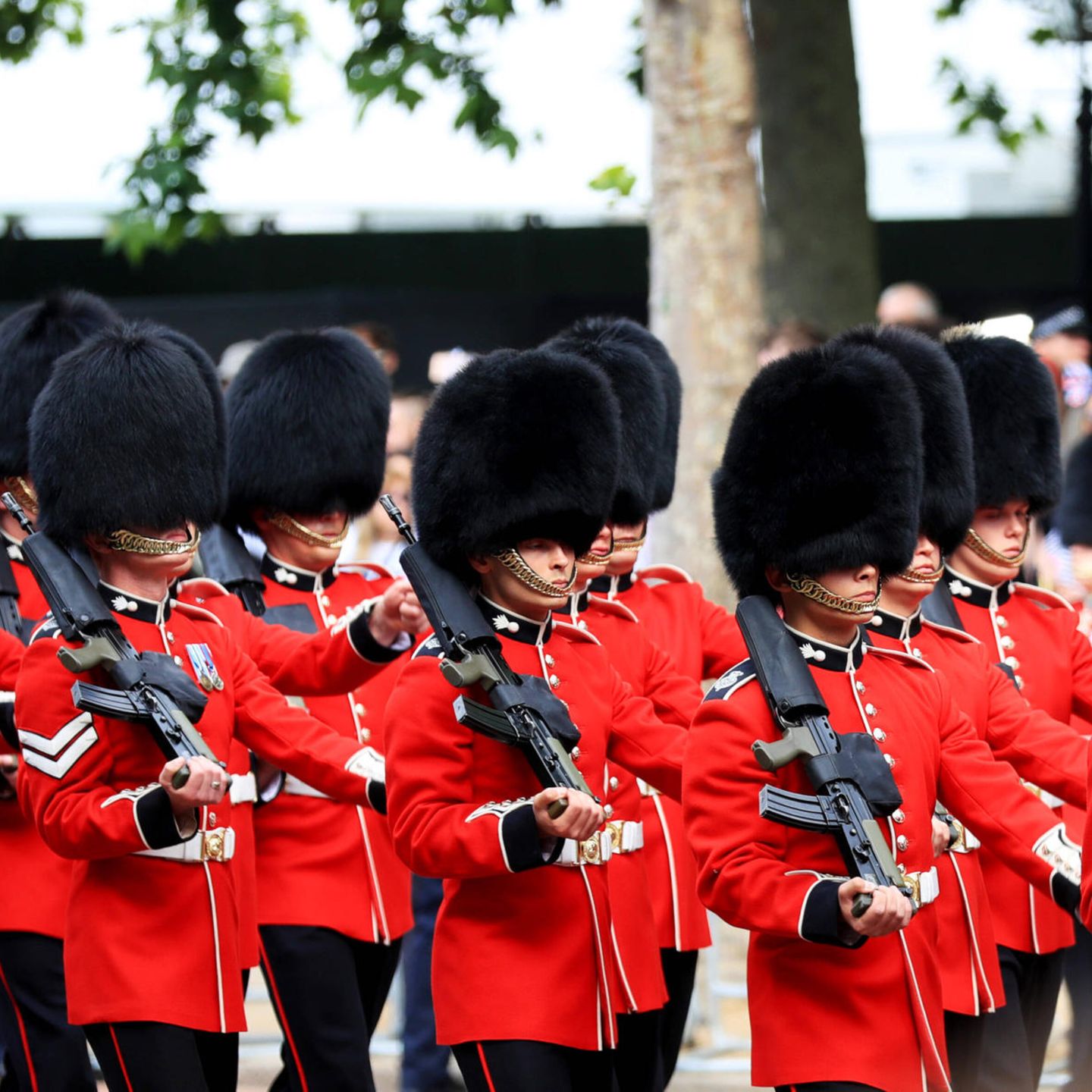"Trooping the Colour"-Parade: Coldstream Guards