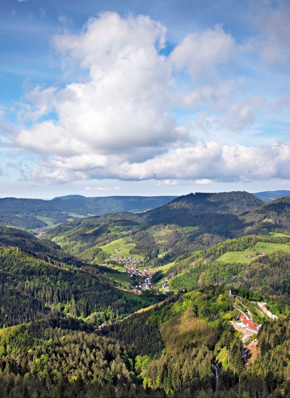Schwarzwald: Ausblick auf den Wald