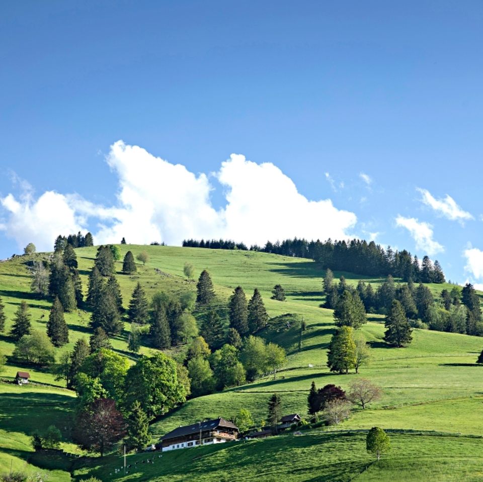Schwarzwald: Obermünstertal
