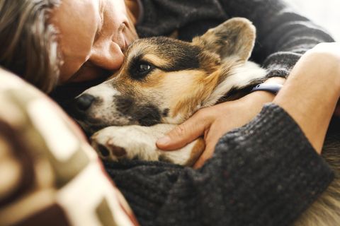 Das perfekte Duo: Mann kuschelt mit einem Hund der Rasse Corgi