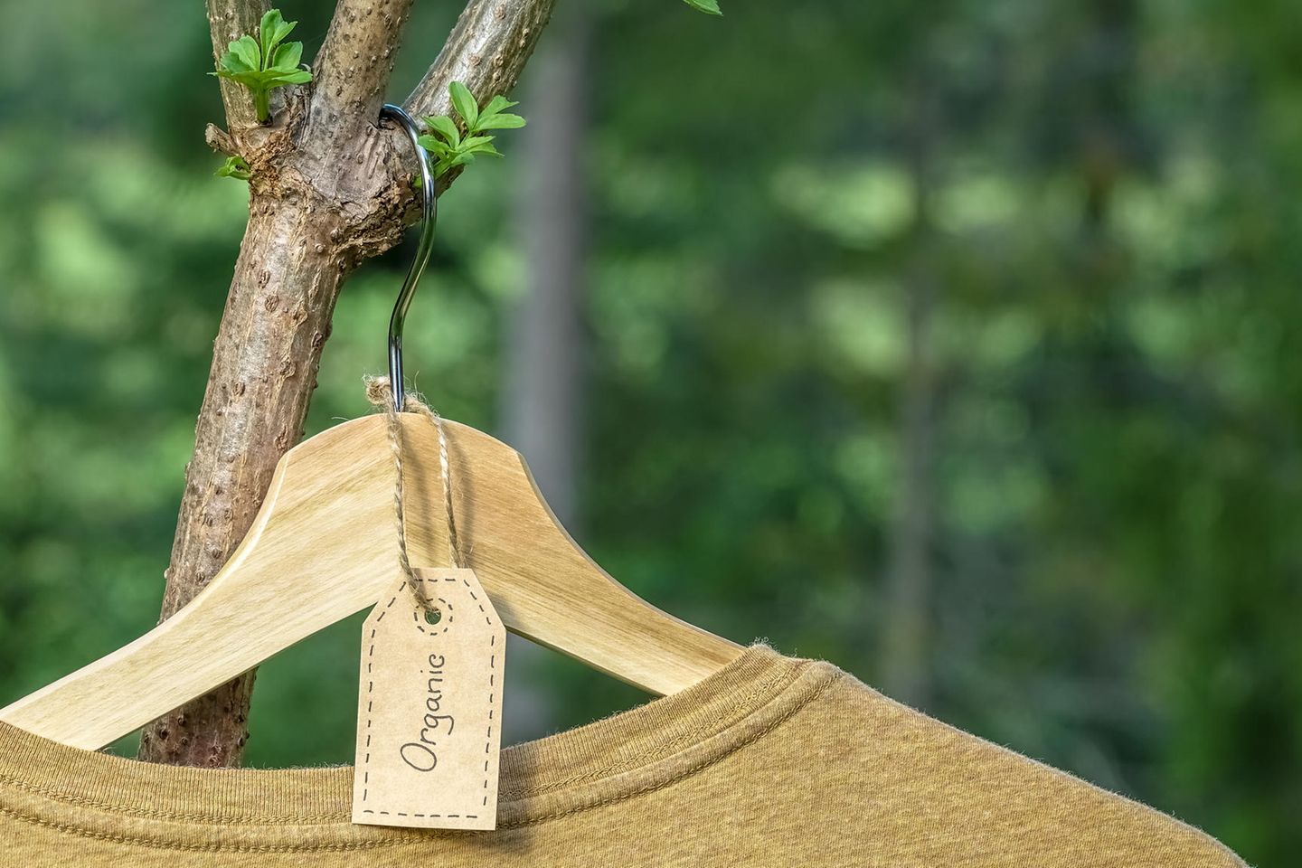 Fibershed: Pullover auf Bügel hängt am Baum