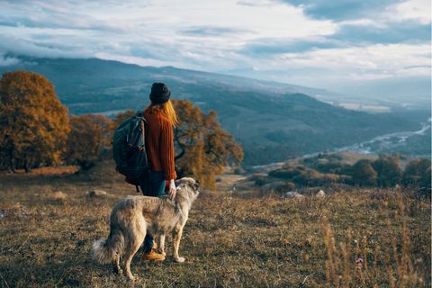Psychologie: Eine Frau mit einem Hund